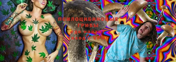 гидропоника Абинск