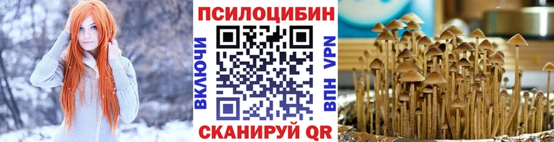 наркотики  Дербент  Псилоцибиновые грибы мицелий 