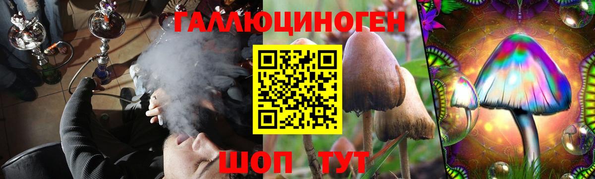 Галлюциногенные грибы мицелий Дербент