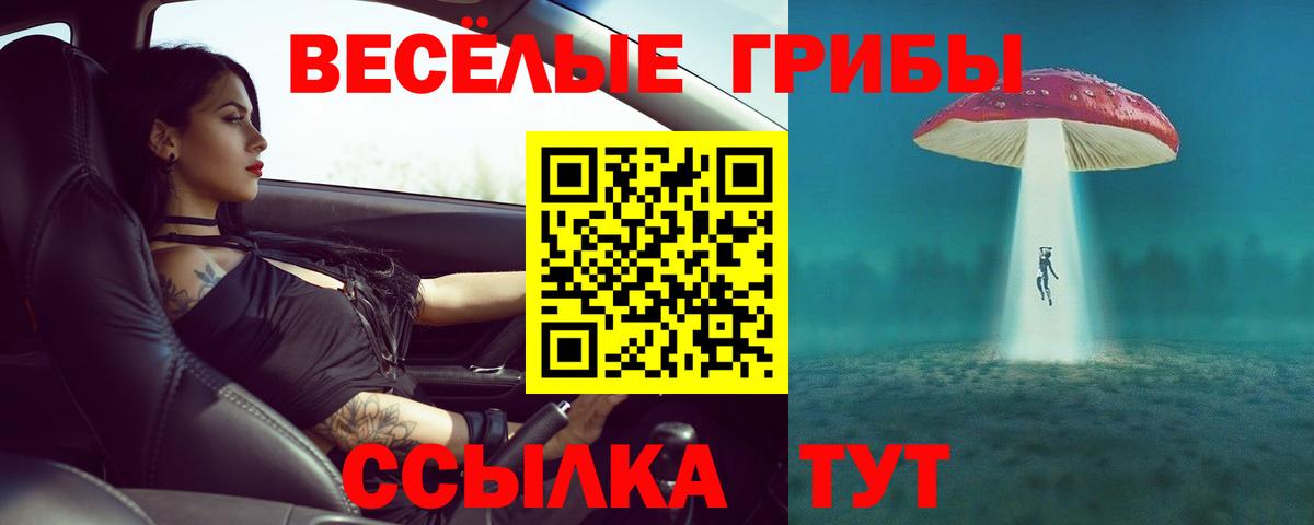 Псилоцибиновые грибы ЛСД  Псилоцибиновые грибы MAGIC MUSHROOMS  Дербент  Вход с VPN 